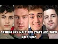Dashing Gay Male Prn Stars And Their Pen s Sizes