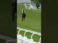 Download Lagu Jockey jumps off horse at 40mph!