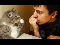 Download Lagu Man Never Wanted a Cat But, Now They Do Everything Together
