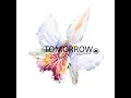 TOMORROW