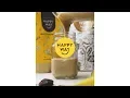 Download Lagu Maca Smoothie | HAPPY WAY