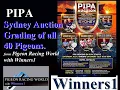 PIPA Sydney Auction Grading of all 40 Pigeons by Pigeon Racing World with Winners1