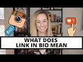 Lagu What does link in bio mean?
