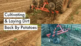 Cultivating and Laying Dirt Back By Our Potatoes