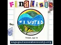 2024 Buncombe County I Voted Sticker Contest