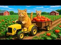 Download Lagu Mama Cat Falls While Harvests Tomatoes Little Hero Kitten Takes to Hospital and Cooks to Heal Her 🐱