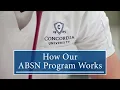 The ABSN Explained