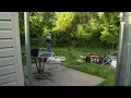 Craigslist cat killer busted