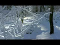 Relaxing Instrumental Music - light, smooth, easy - relaxdaily N°096