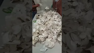 ganado tv mushroom mini farm 