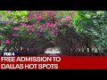 Dallas offers teens free admission to local attractions