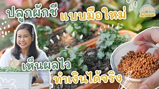 4 ขั้นตอนปลูกผักชีสร้างรายได้ (จุดเริ่มต้นเกษตรกรมือใหม่) | Urban Gardening ปิ๊ง! ไอเดียปลูก