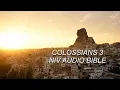 COLOSSIANS 3 NIV BIBLE with text
