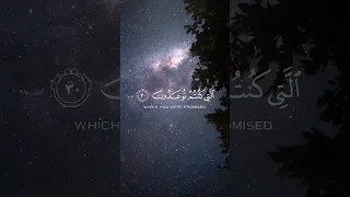 إ ن ال ذ ين ق ال وا ر ب ن ا الل ه ث م اس ت ق ام وا ت ت ن ز ل ع ل ي ه م ال م ل ائ ك ة 