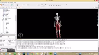 OpenSim Opening and Manipulating models