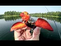 Download Lagu Umpan Burung Menangkap Ikan Bass MONSTER!