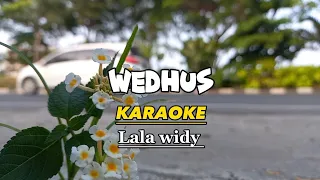 Download Wedhus - Karaoke koplo lala widy MP3