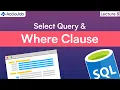 SQL for Beginners Select Query and Where Clause Lecture 8