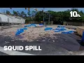 Thousands of pounds of squid spill onto Rhode Island roadway forcing fire department cleanup