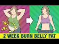 Download Lagu Bakar Lemak Perut dalam 2 Minggu | Tantangan Latihan Perut