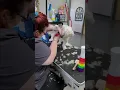 schnauzer maltese mix haircut