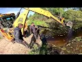 Download Lagu Бобёр вызвал экскаватор ! Стадо растёт ! Буду строить большой навес ! ХУТОР В ЛЕСУ №793