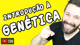 INTRODUÇÃO À GENÉTICA - Genética | Biologia com Samuel Cunha
