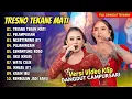 Download Lagu Niken Salindry X Silvy - TRESNO TEKAN MATI - PELAMPIASAN - KEMBAR MUSIC || ALBUM DANGDUT CAMPURSARI