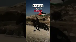 ሰላም ያ አቅሷ አዲስ ነሺዳ በ ኢሳም ሀበሻ አዲስ ነሺዳ መንዙማ Palestine ኸሚስ ሚንበር ቲቪ ኢሳምሀበሻ 