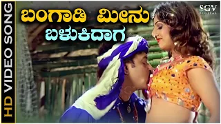 bangadi meenu balukidaga video song from ravichandrans kannada movie pandu ranga vittala