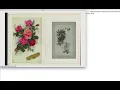 Better than Photoshop Interactive StyleGAN Cropping Tool Python OpenCV