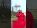 That ll do Donkey