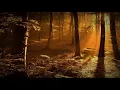 Sau Dard Hai || Sonu Nigam (Lyrics) || Jaan-E-Maan ||