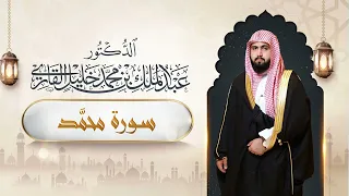 سورة محمد  د عبدالملك بن محمد خليل القارئ دندنها