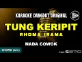 Download Lagu TUNG KERIPIT - RHOMA IRAMA || KARAOKE DANGDUT ORIGINAL || NADA COWOK