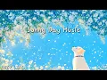 Download Lagu [Playlist] 마음이 평화로운 하루를 위한 피아노 연주곡 🍀 따뜻함을 담아낸 음악, 카페 음악, 뉴에이지 아침 힐링 봄플레이리스트 Spring cafe Music