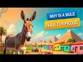 Why is a mule sterile and unable to reproduce