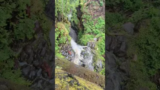 Hawaii Waterfall ChiweenieSix Hamakua Hawaii Islandofhawaii Chiweeniesix 