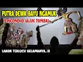 Download Lagu PUTRA DEWA BAYU ''WARKUDORO'' NGAMUK PONCONOKO JALUK TUMBAL