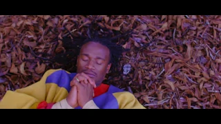 jah prayzah hokoyo official music video 