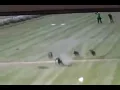 Rabbit interrupts greyhound race