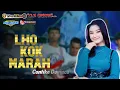 Download Lagu LHO KOK MARAH - CANTIKA DAVINCA - OM SAVANA - ( ARIES LIGHTING - PW AUDIO )