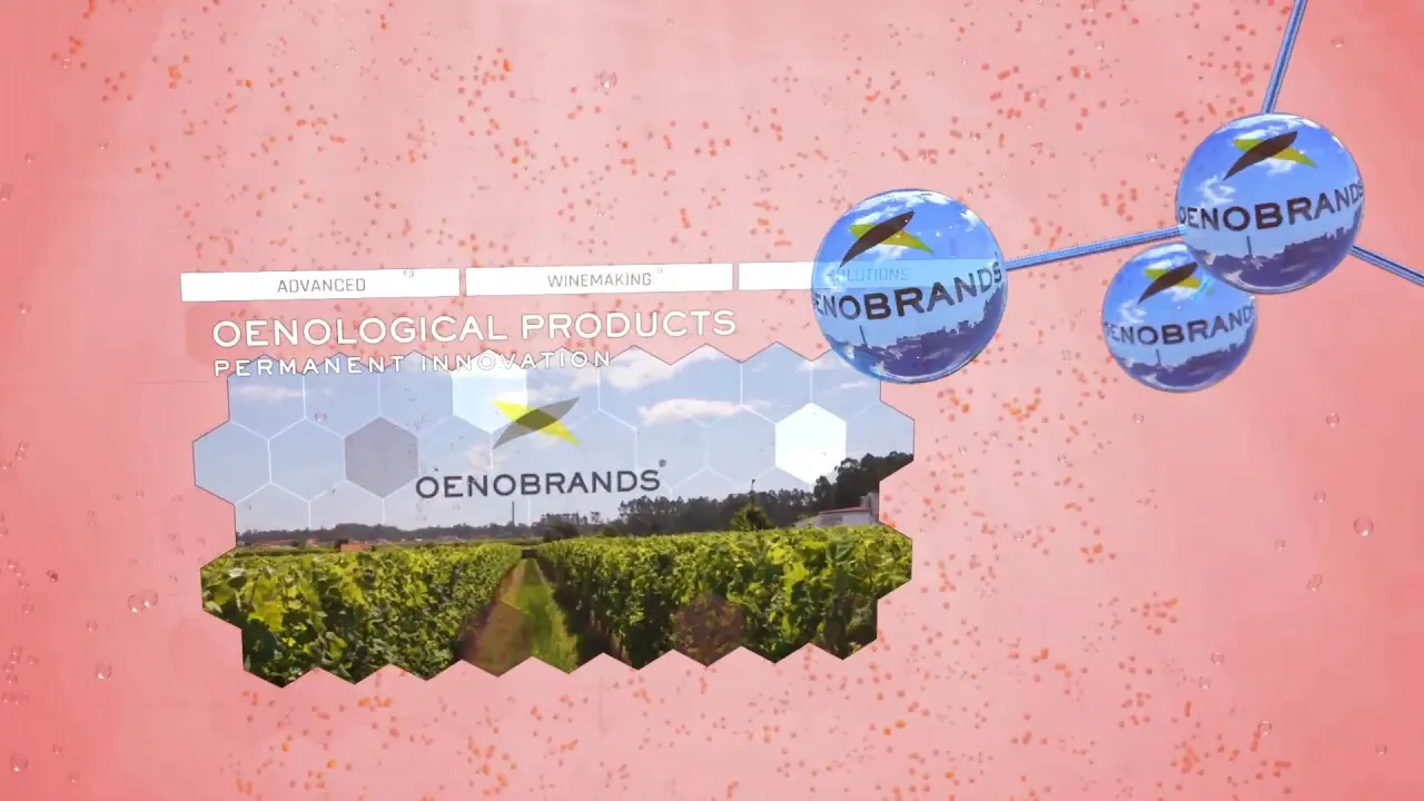 OENOBRANDS 3D Corporate Animation