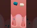 Download Lagu Medicine Digestion: What Happens After You Swallow a Pill?