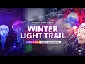 Forest of Light 2026 is Back Beamish Hall s Most Magical Trail Yet