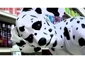 Dalmatian The Eric Andre Show Adult Swim