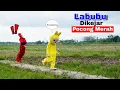 Download Lagu LABUBU DIKEJAR POCONG MERAH