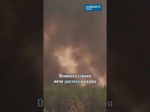 Огнената стихия в Европа: Франция и Испания в капана на рекордни горещини и горски пожари
