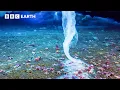 Download Lagu Planet Earth Through The Seasons | BBC Earth