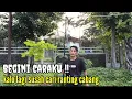 Download Lagu Cara Merangkai Pulut Ranting Stick Menggunakan Media Tegek Pancing